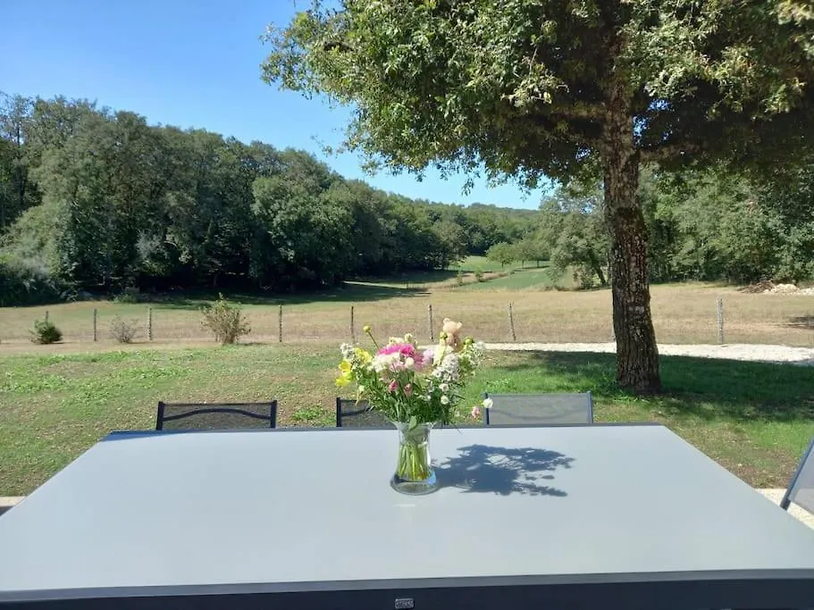 La Grange De Baffol Villa Saint-Chamarand Holiday home